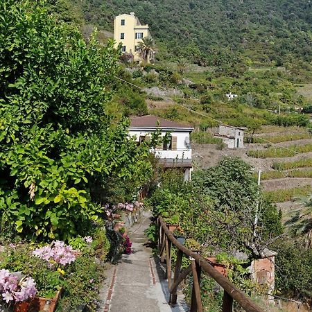 Villa Lardarina Corniglia Exterior photo