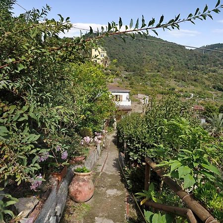 Villa Lardarina Corniglia Exterior photo