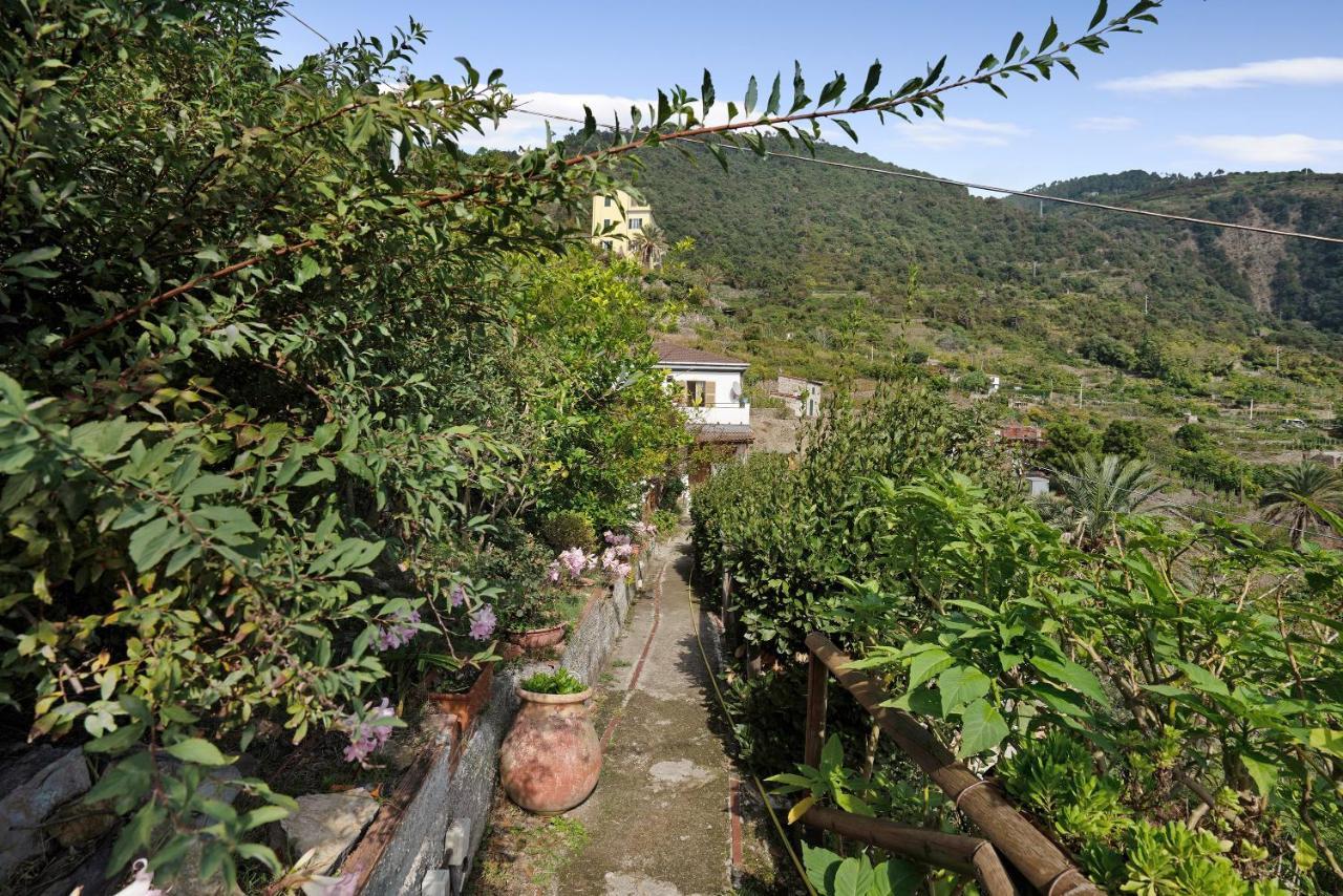 Villa Lardarina Corniglia Exterior photo
